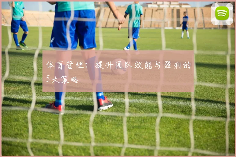 体育管理：提升团队效能与盈利的5大策略